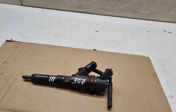 Peugeot 307 Fuel injector 9641742880 0445110076