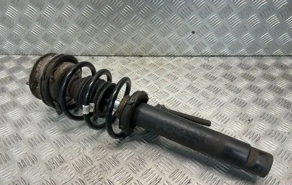 BMW X1 E84 Front shock absorber/damper 6789854