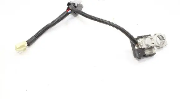 Lexus GS 300 350 430 450H Positive wiring loom 
