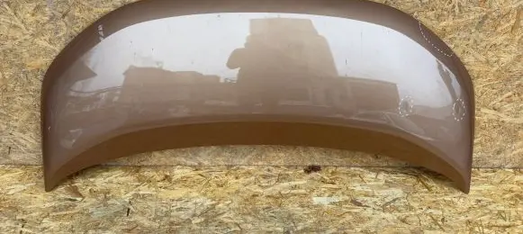 Engine bonnet/hood