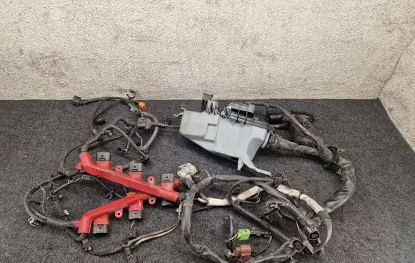 Engine installation wiring loom