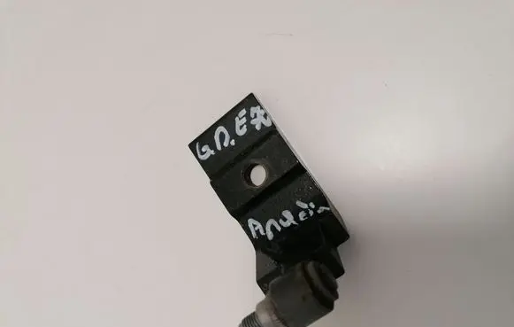 BMW X5 E70 Rear door lower hinge 7160826