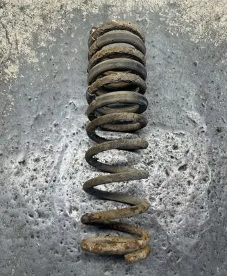 Ford Focus Rear coil spring