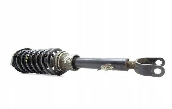 Mercedes-Benz CLS C219 Front shock absorber with coil spring A2193201413