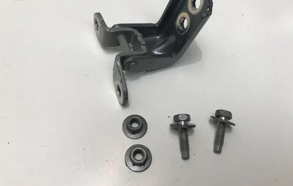 Nissan Leaf II (ZE1) Rear door lower hinge