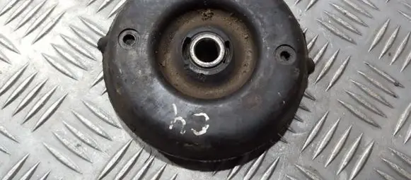 Coil spring mount