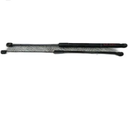 Tailgate strut