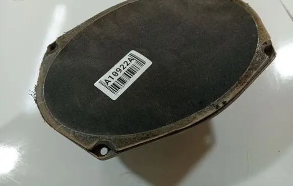 Chrysler Voyager Front door speaker 10278