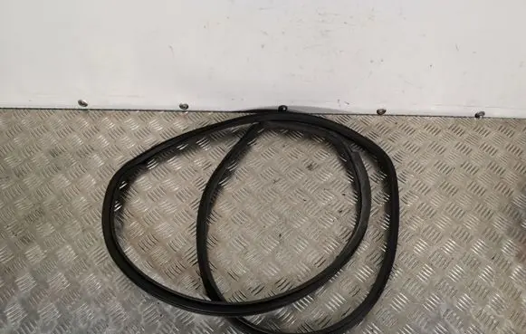 Toyota C-HR I Rear door rubber seal (on body) CHRGUMA
