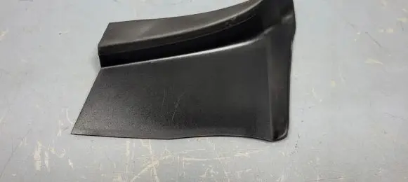 Rear/tail light trim molding