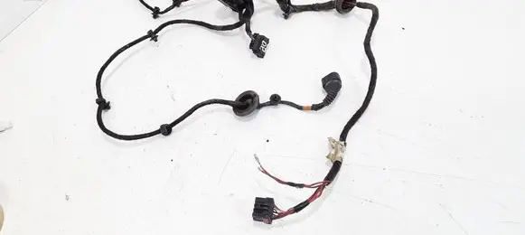 Volkswagen PASSAT B5 Front door wiring loom