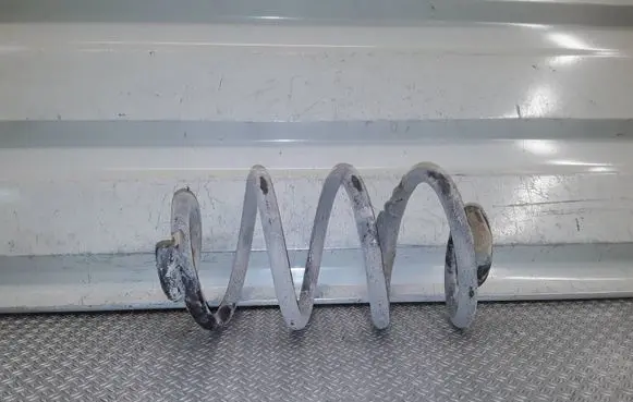 Renault Clio III Rear coil spring 