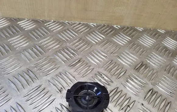 Nissan Qashqai Front door high frequency speaker 28148JD100