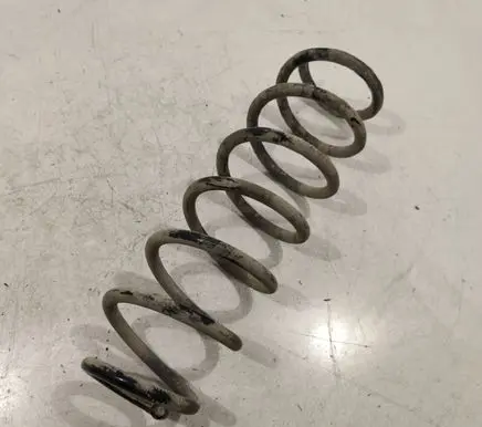 Rear coil spring