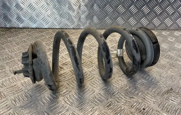Rear coil spring