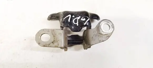 Rear door lower hinge