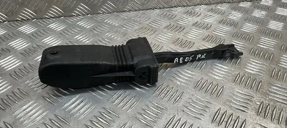 Audi A8 S8 D5 Front door check strap stopper 4N0837249