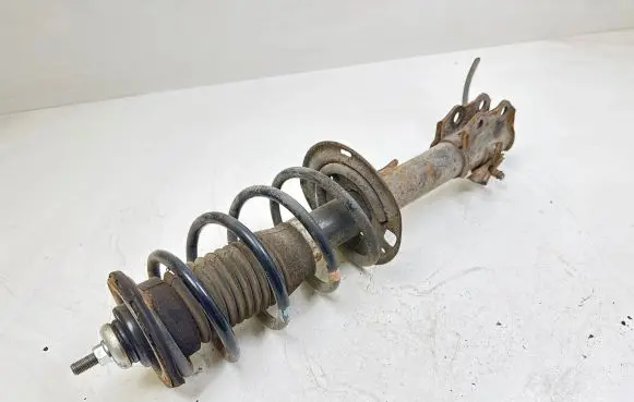 Toyota Urban Cruiser (XP110) Front shock absorber with coil spring