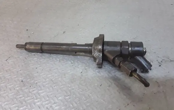 Citroen C5 Fuel injector 0445110259