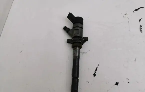 Volvo V50 Fuel injector 0445110259