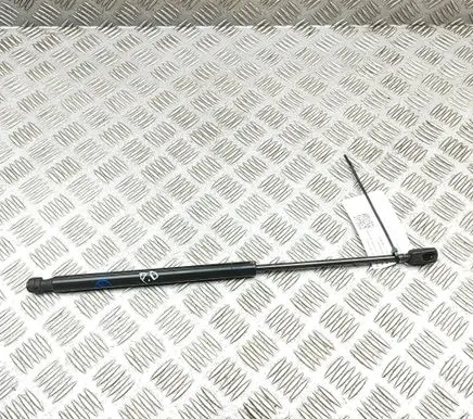 Ford Mustang Mach-E Front bonnet/hood damper/strut LJ8BR16C826AB