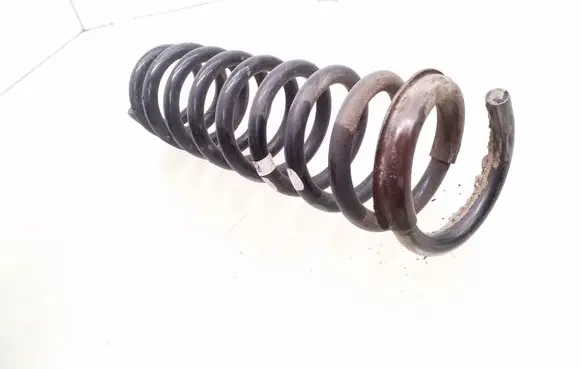Rear coil spring