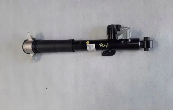 Porsche Cayenne (9Y0 9Y3) Rear shock absorber with coil spring 9Y0513027G