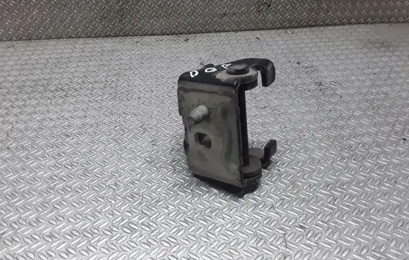 Citroen C5 Rear door lower hinge
