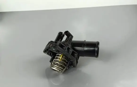 Thermostat/thermostat housing