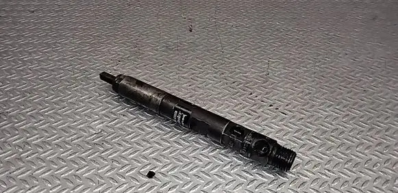 Renault Clio III Fuel injector EJBR02101Z