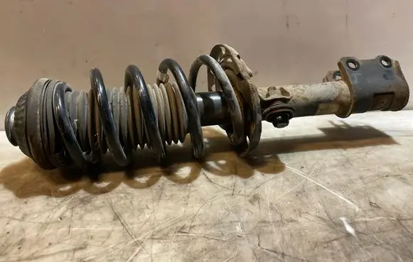 Opel Zafira B Front shock absorber with coil spring 22229594