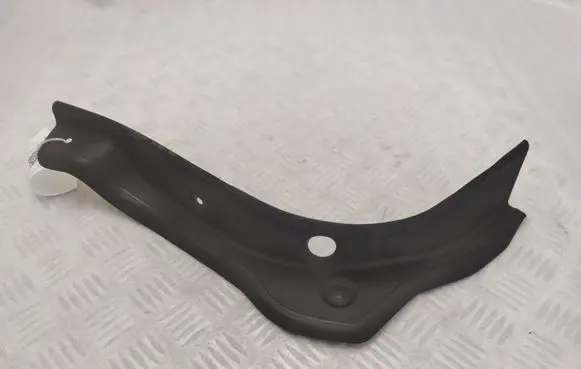 Rear/tail light trim molding