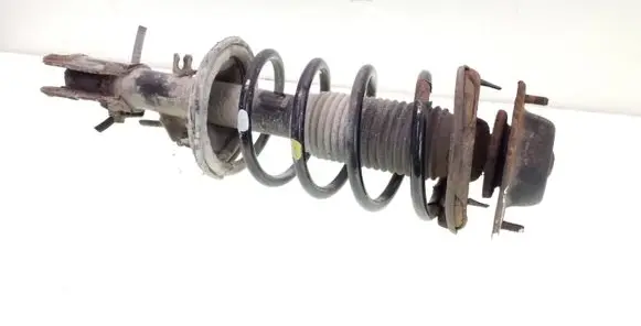 Hyundai Getz Front shock absorber with coil spring 546601C600