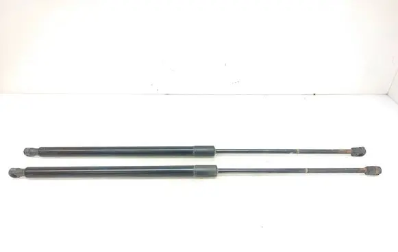 Tailgate/trunk strut/damper