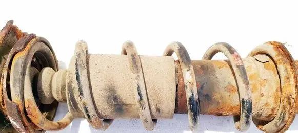 Rear coil spring