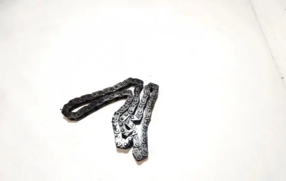 BMW 5 E39 Timing chain (engine) 
