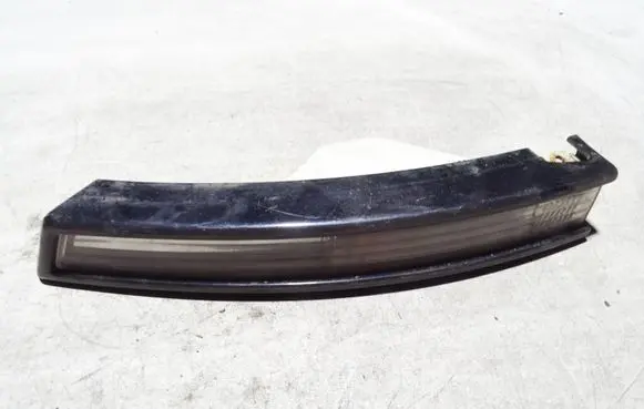 Volkswagen PASSAT B6 Front indicator light 3C0953041L