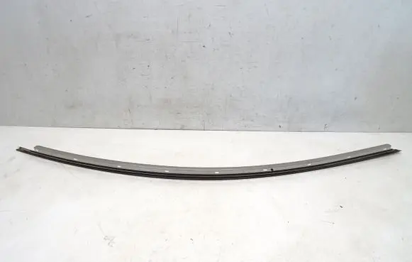Lexus RC Front door trim (molding) 