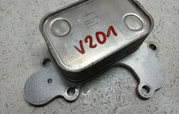 Peugeot 2008 II Oil filter mounting bracket 9839253380