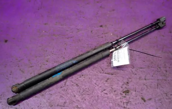 Tailgate strut