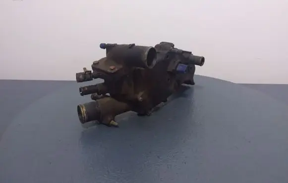 Thermostat/thermostat housing