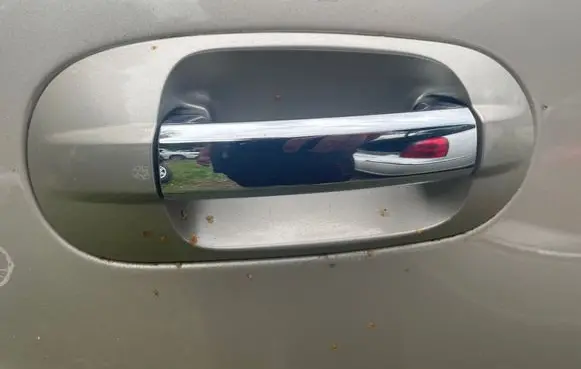 Lincoln Navigator Rear door handle cover 