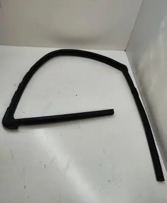Nissan Juke I F15 Rubber seal front door window/glass 