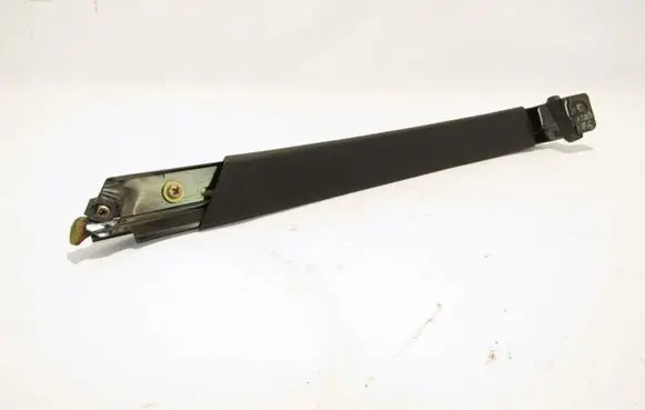 Rear door glass trim molding
