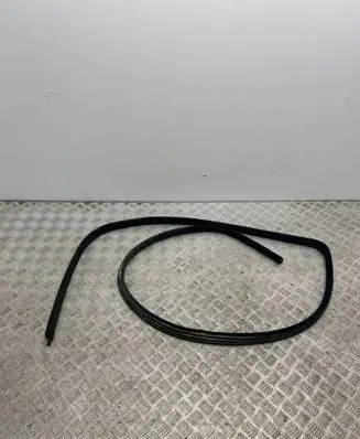 Maserati Quattroporte Front door rubber seal 