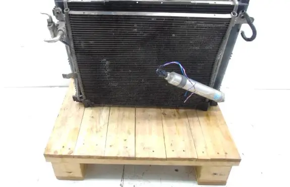 Nissan Juke I F15 Coolant radiator 21410BA62A
