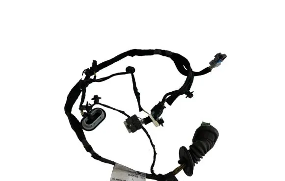 Rear door wiring loom
