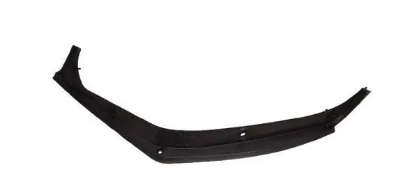 Rear/tail light trim molding
