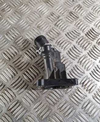 Thermostat/thermostat housing