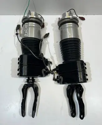 Porsche Taycan 9J1 Rear shock absorber/damper 